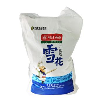 利达 雪花粉 5kg