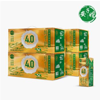 安子婿 沙漠牧场4.0g纯牛奶 200g*10盒*4箱