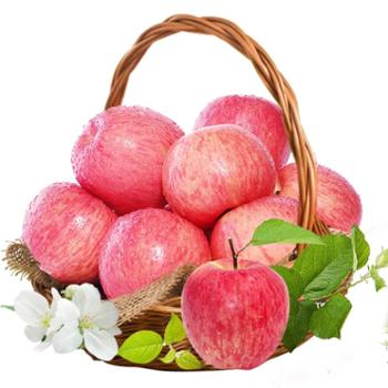 顶端果业 陕西延安洛川红富士苹果大果净重约10.5斤 16枚大果 85-90mm