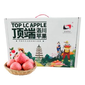 顶端果业 陕西洛川红富士苹果礼盒装净重约4.8-5斤 10枚80mm