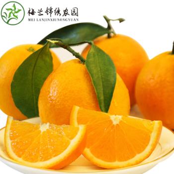梅兰锦绣农园 秭归应季脐橙 伦晚 10kg含箱 中果 单果150g以上 时令鲜果