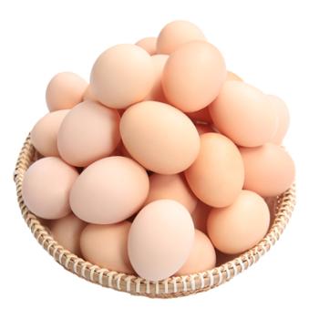 白荡里 农家散养土鸡蛋笨鸡蛋 20枚