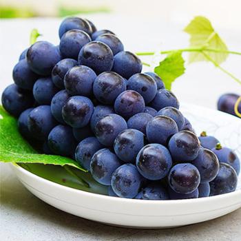 白荡里 【现货速发】新鲜水果葡萄孕妇水果夏黑无籽黑葡萄 3斤