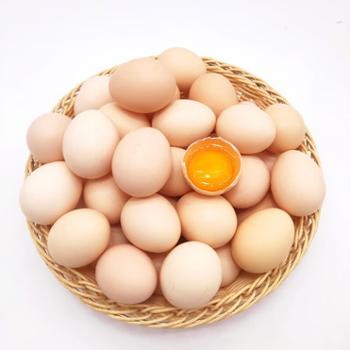 田园居 AA级 无抗无菌 鲜鸡蛋 60枚装 2.4kg