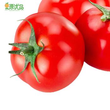 果源优品 普罗旺斯西红柿 3斤/4.5-5斤