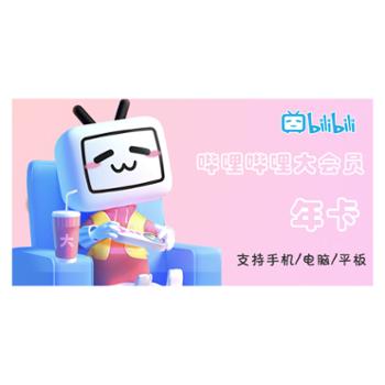 哔哩哔哩大会员年卡12个月 B站大会员年卡 不支持电视端
