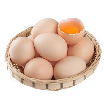 食果源 宜昌农家散养鲜鸡蛋 10枚装单枚约50g