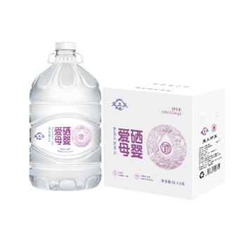 龙王泉 爱硒母婴 饮用天然泉水 5L*2瓶