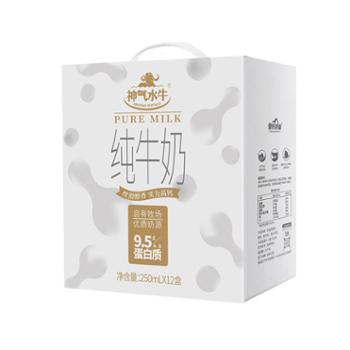 神气水牛 纯牛奶 250ML*12盒