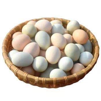 鑫鲜聚 农家散养绿壳+粉壳鲜鸡蛋 混合装40枚 单枚约50g，总重约2kg