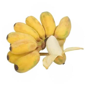 帝伊果 苹果香蕉 3斤/5斤