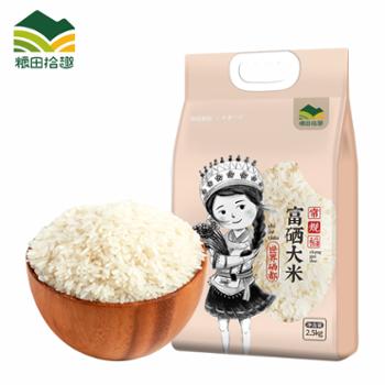 粮田拾趣 利川富硒大米常规稻 2.5kg
