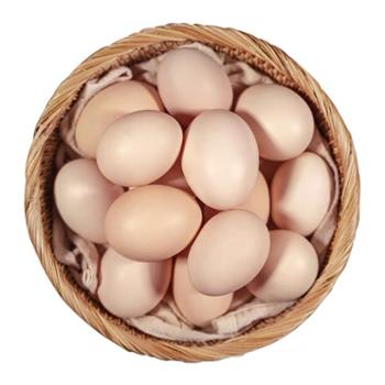 夔安山野 新鲜柴鸡蛋 40枚/盒 五谷蛋 谷物饲养