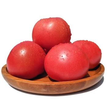 鲜果果 陕西泾阳普罗旺斯西红柿 净重4.5斤/箱