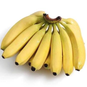 伊果农业 现摘高山大香蕉 5斤装