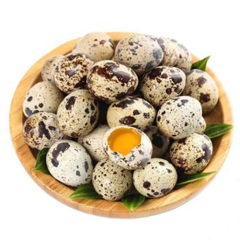 萨达 鲜鹌鹑蛋 200枚装 送卤料一包