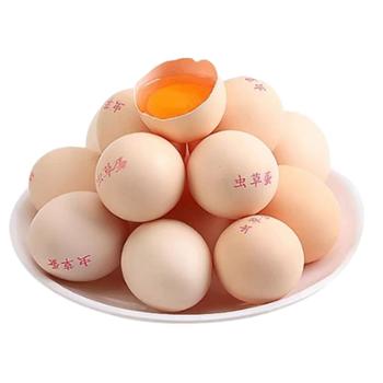 萨达 原生态虫草鸡蛋 50枚/100枚箱 顺丰包邮 单枚均重约50g
