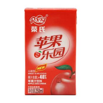 荣氏 苹果汁饮料 250ml*24