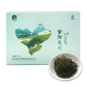 闽秦紫阳毛尖绿茶240g礼盒