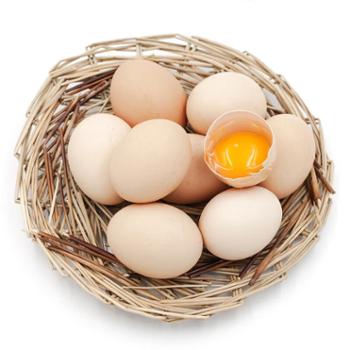 稻菽园 农家散养土鸡蛋初生蛋 20枚/箱（单枚40g左右）
