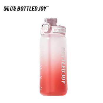 吨吨 BOTTLED JOY纤吨吨便携耐高温吨吨桶550ml-1000ml