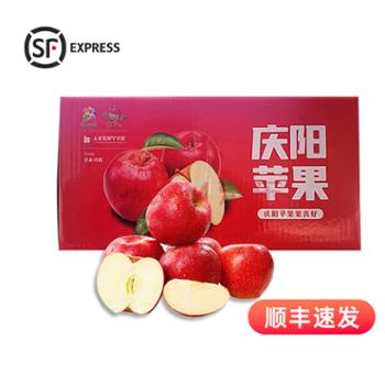 庆阳苹果 嘎啦苹果 5-10斤箱装/12枚礼盒 70mm左右 脆甜多汁新鲜水果
