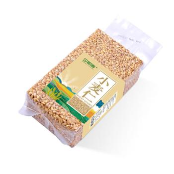 今粮道 小麦米 （小麦仁 五谷杂粮 粗粮 大米伴侣 粥米） 450g