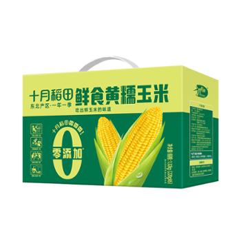 十月稻田 鲜食黄糯玉米 1.32kg（220g*6）